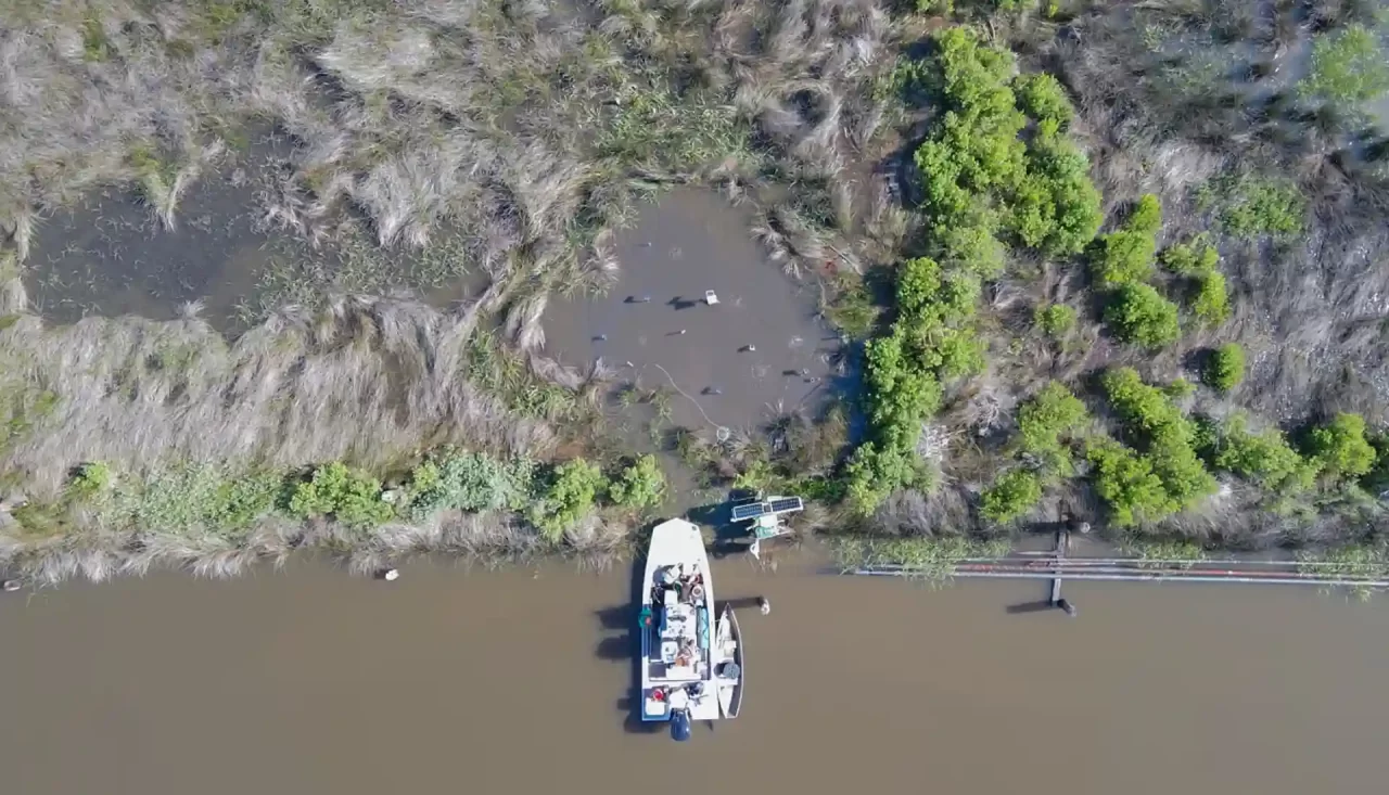 Bayou Terre Au Boeufs and Reggio Data Collection