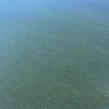 ENCOS Environmental & Coastal Services